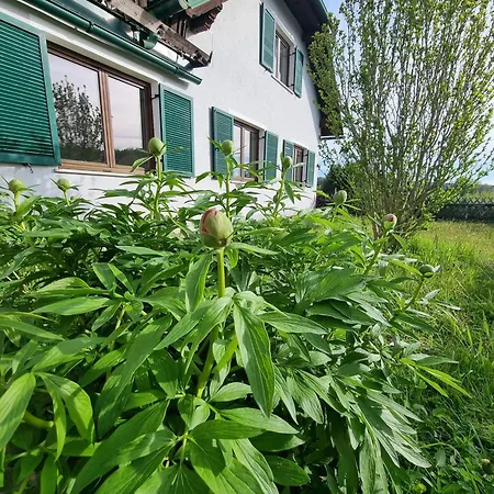 Haus Fini Hartl